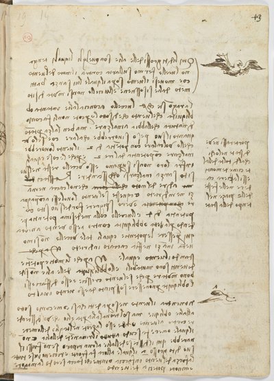 Vogelvluchtcode, c. 1505-06, blad 13 recto door Leonardo da Vinci